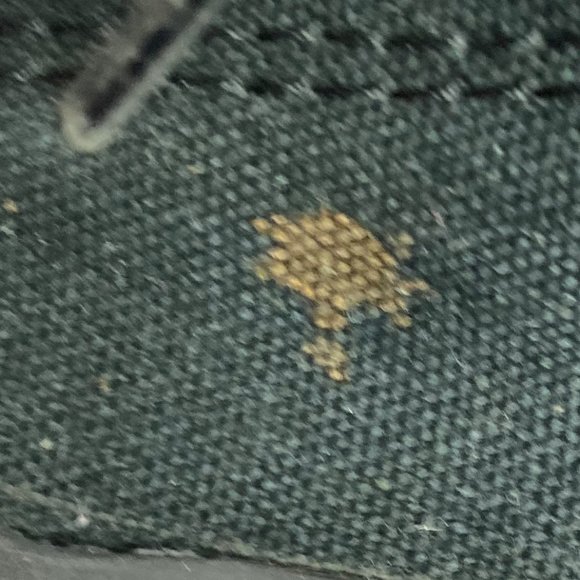 Converse All Star High Street Basketball shoes - Picture 9 of 16